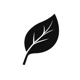 Maple Digital Solutions